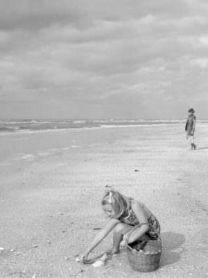 Shelling1955